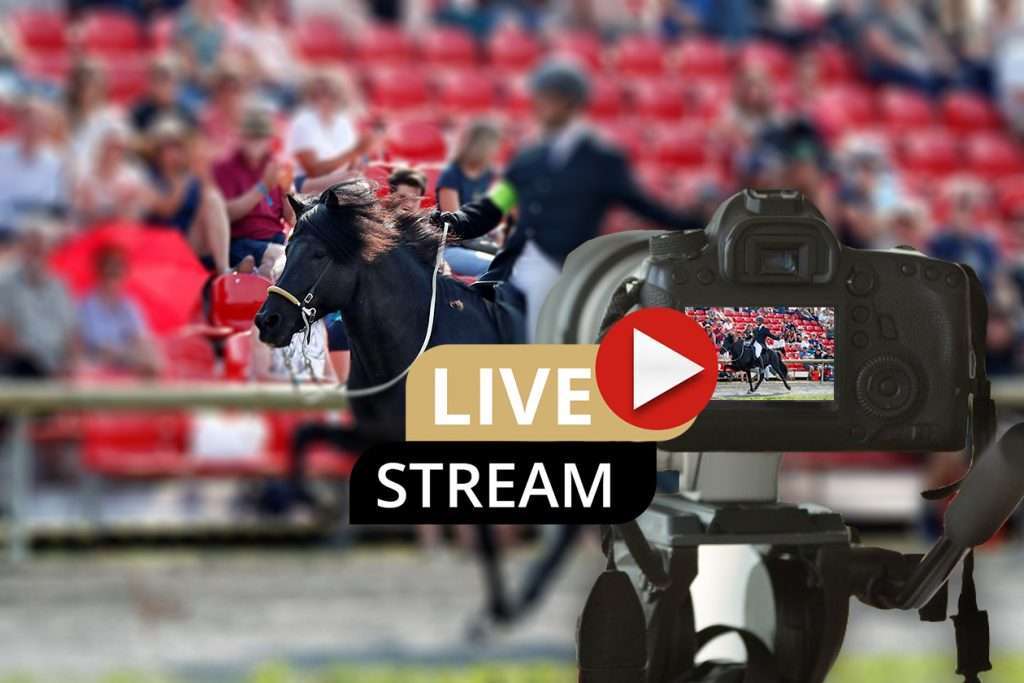 Bayern 5 Livestream