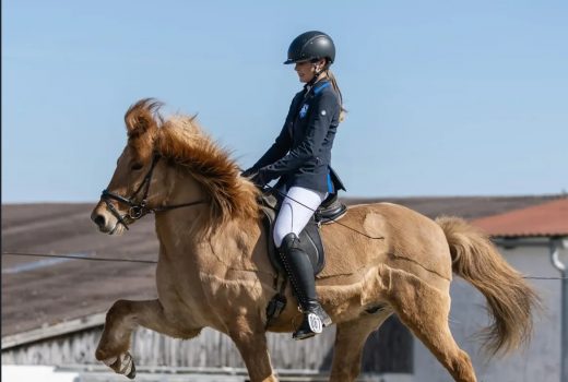 Anna und Hersir