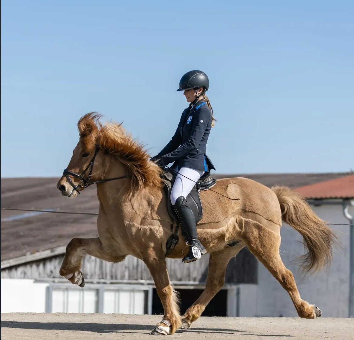Anna und Hersir