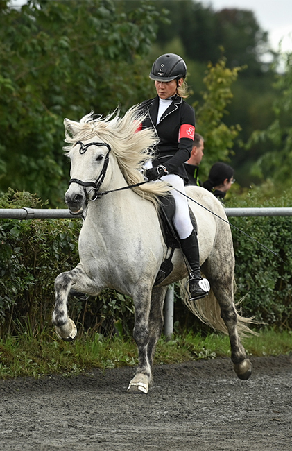 Eine Reiterin mit ihrem Pferd Glennir beim IPZV-Bayern zeigt beeindruckende Bewegungen auf dem Platz.