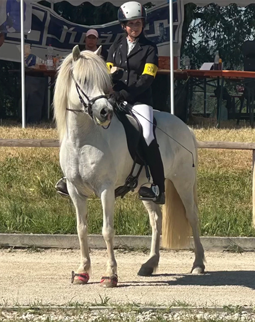 Paulina reitet stolz ein weißes Islandpferd , umgeben von einer weitläufigen Wiese und Zuschauern im Hintergrund.